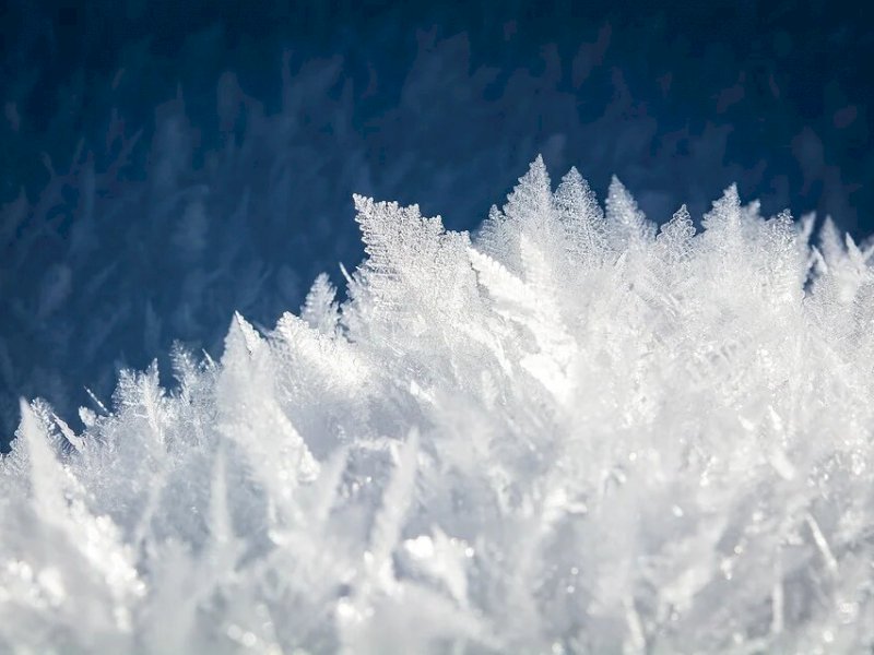 Органы опеки забрали троих детей у алтайской семьи, которая выгнала сына голым на мороз