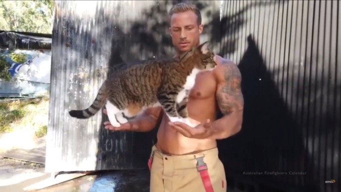 Австралийские пожарные устроили горячую фотосессию с котиками. Видео