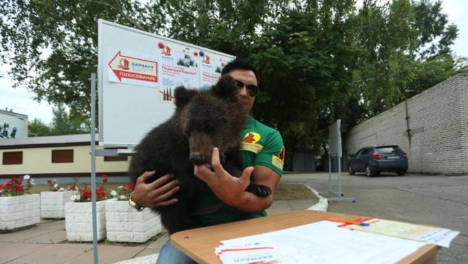 Медведица Глаша из барнаульского зоопарка пришла на голосование по поправкам