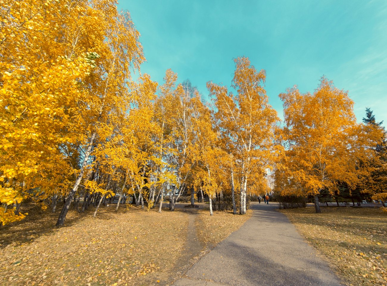 Осенний Барнаул
