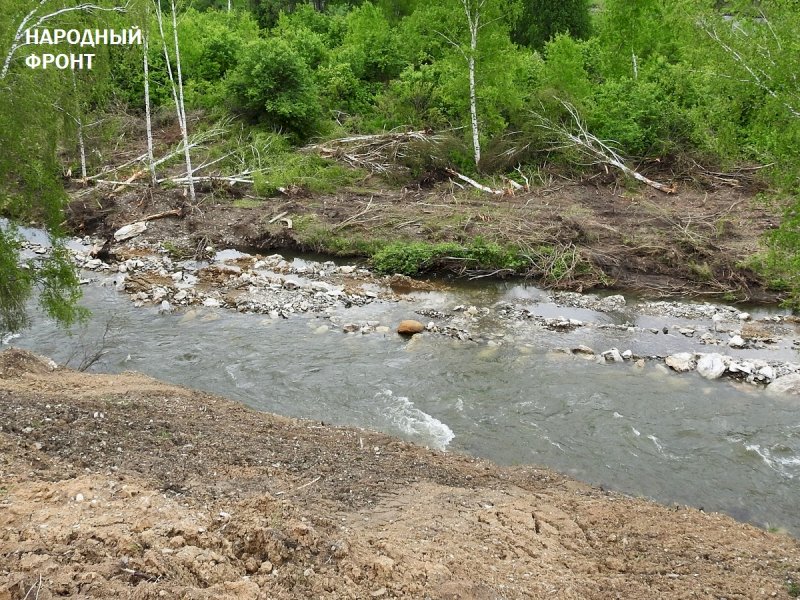 Река Ануй во время работы на ней золотодобытчиков. Фото: onf.ru 