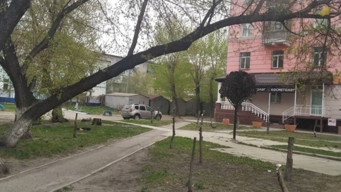 Общественника возмутила санитарная рубка на Строителей в Барнауле