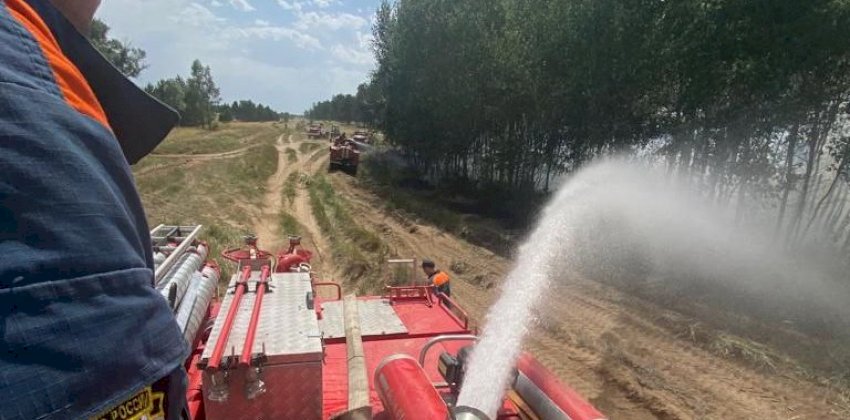  Лесной пожар в Михайловском районе Алтайского края локализовали 