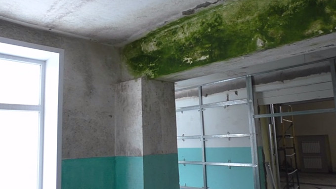 Плесень закрывают гипсокартоном. Жители алтайского села жалуются на плохой ремонт школы