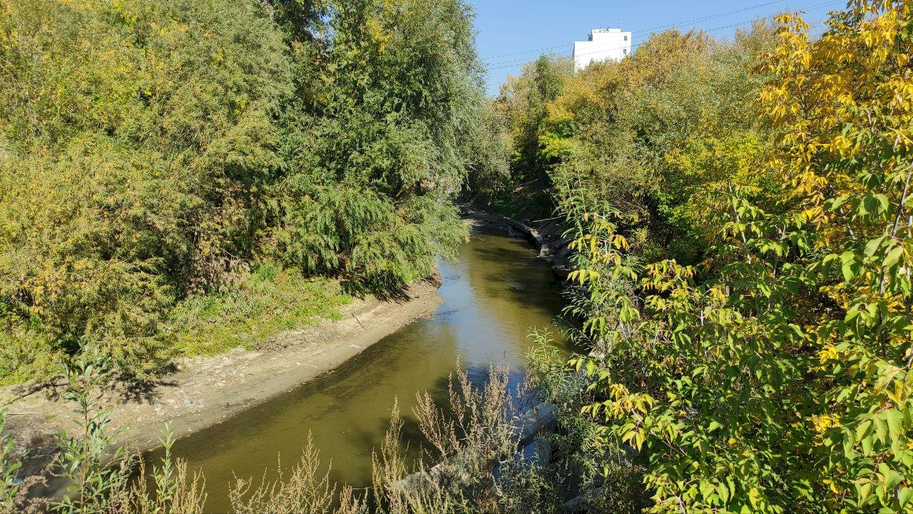 Куда впадает река барнаулка. Река Барнаулка. Река Барнаулка фото. Устье реки Гайва. Мост через Барнаулку.